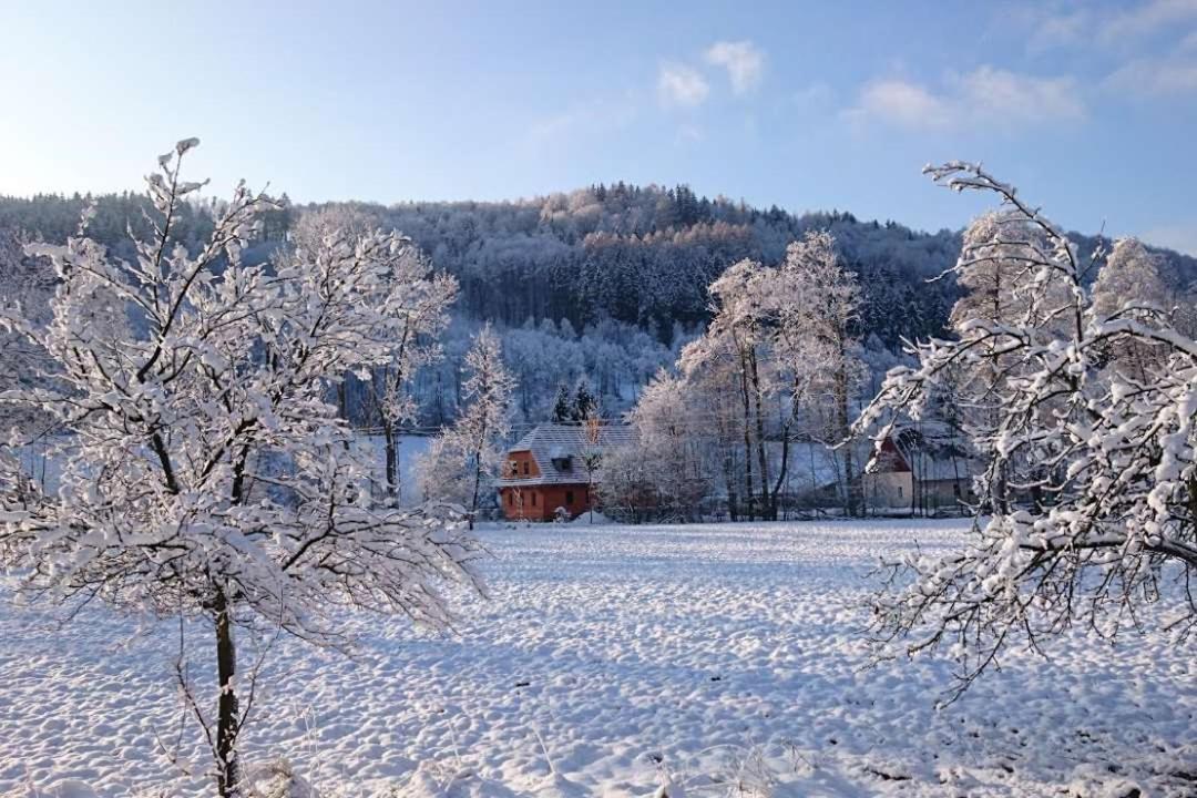 Roubenka Pod Capim Vrchem Villa Velké Losiny Eksteriør billede